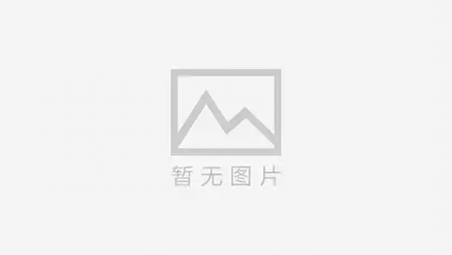 可克达拉找人寻人公司：在金斯顿的街头找到答案